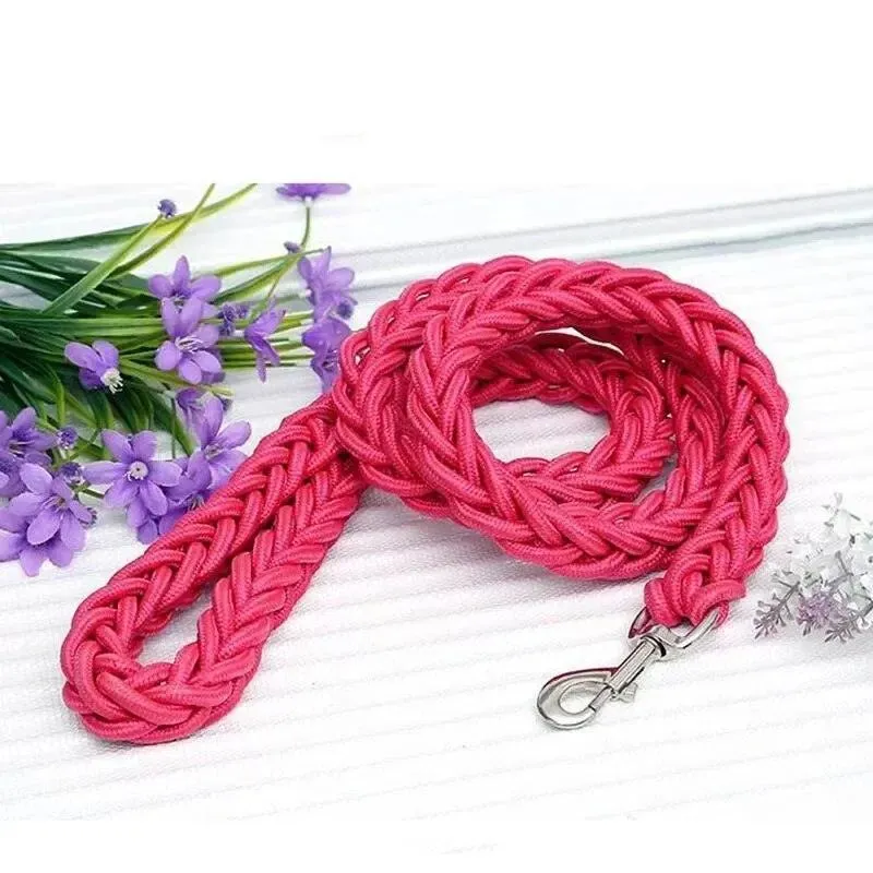Nylon Dog Harness Leash