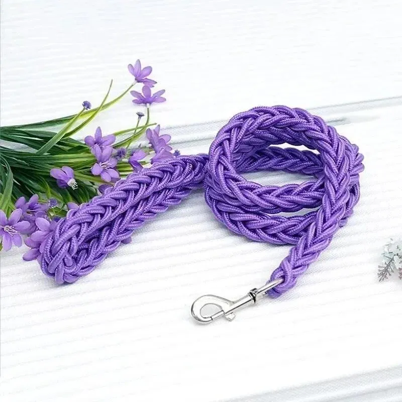 Nylon Dog Harness Leash