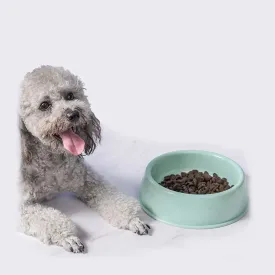 PAWS ASIA China Supplier Wholesale Cute Travel Portable Round Feeding Dog Eco Friendly Plastic Bowls Drinking