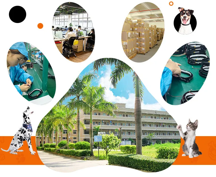 PAWS ASIA Suppliers New Hot Sale Dog Cat Smart Automatic Wifi Pet Feeder Water