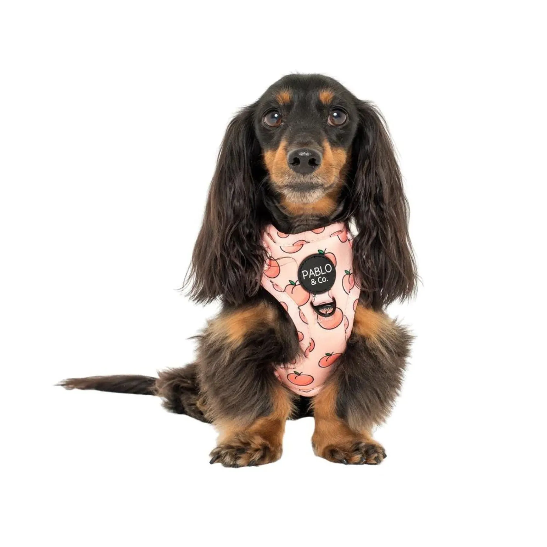 Peaches & Cream Adjustable Harness