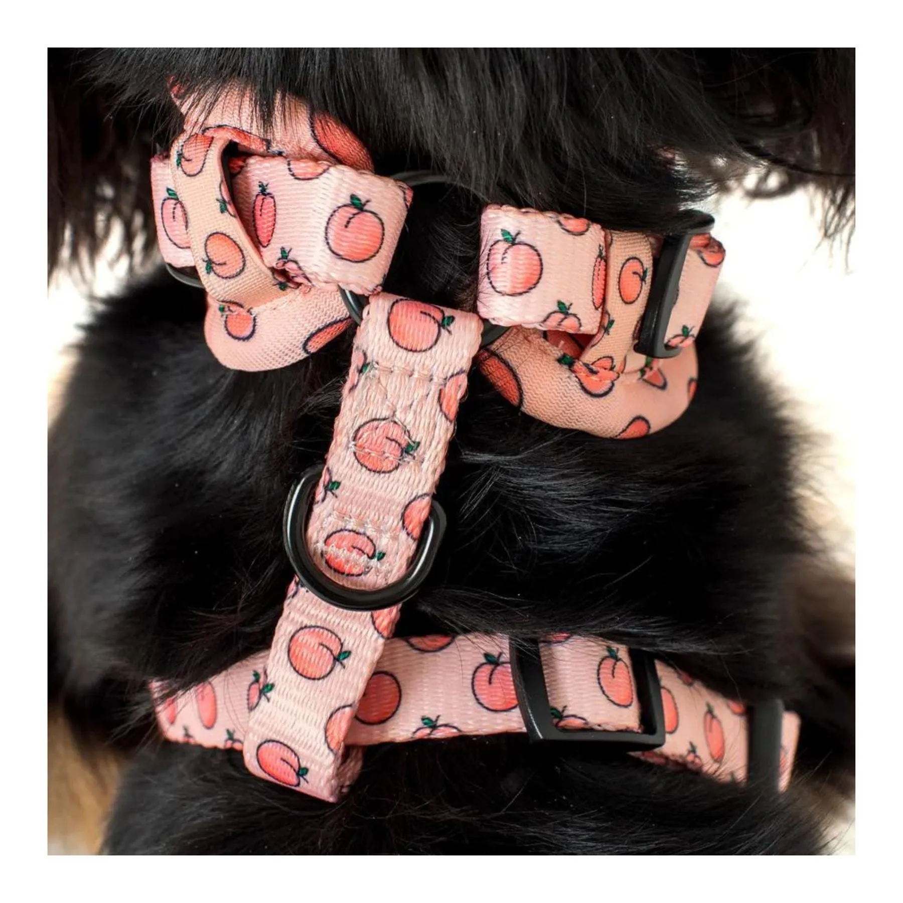 Peaches & Cream Adjustable Harness