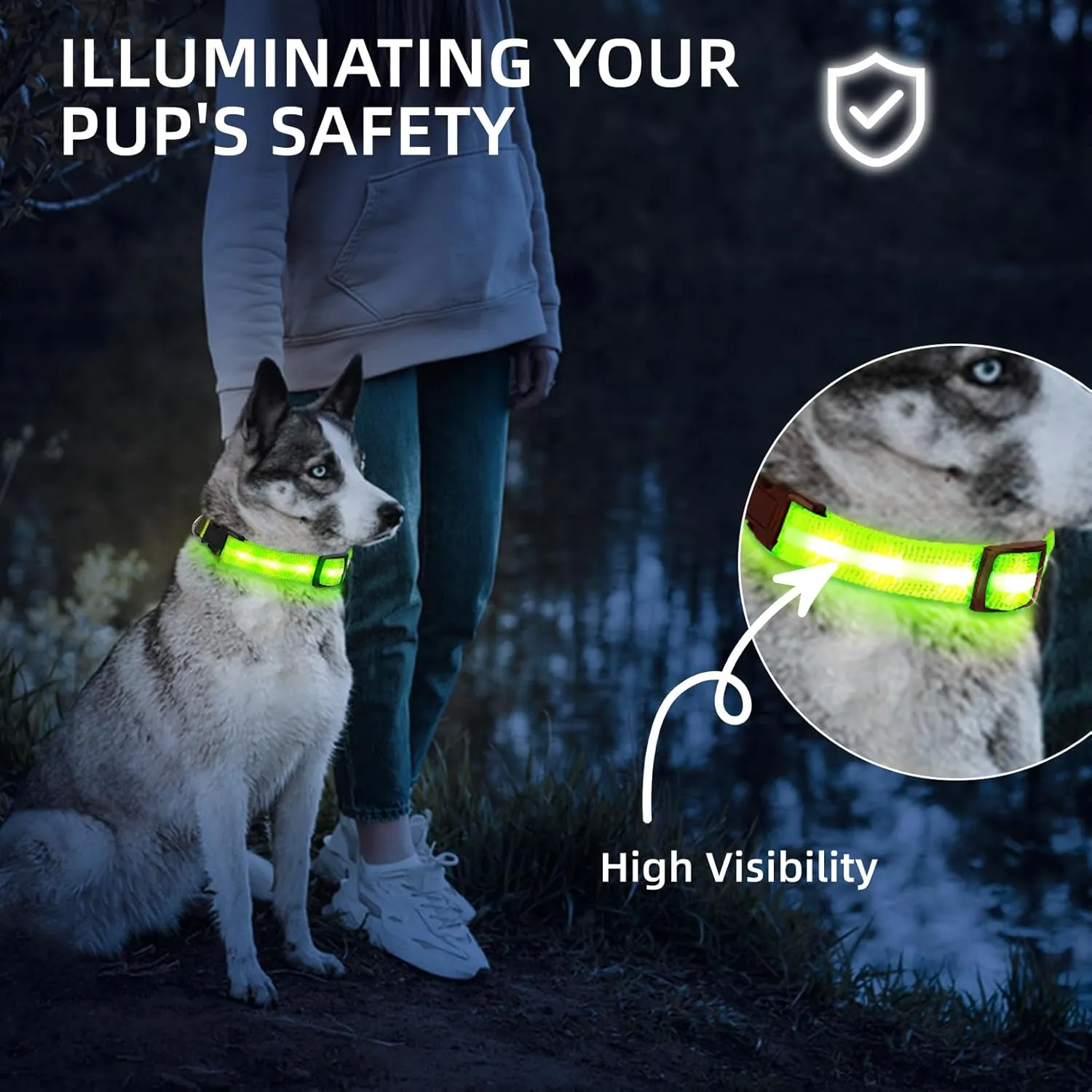 PetIsay Light up Dog Collar - High Visibility & Durable Nylon Material - USB C Rechargeable & Waterproof LED Dog Collar for Night Walking,Lighted Dog Collars Glow in The Dark Flashing(Green,Medium)