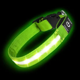 PetIsay Light up Dog Collar - High Visibility & Durable Nylon Material - USB C Rechargeable & Waterproof LED Dog Collar for Night Walking,Lighted Dog Collars Glow in The Dark Flashing(Green,Medium)