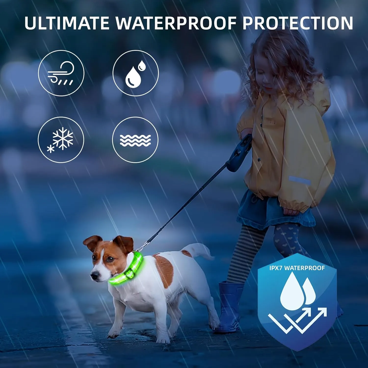 PetIsay Light up Dog Collar - High Visibility & Durable Nylon Material - USB C Rechargeable & Waterproof LED Dog Collar for Night Walking,Lighted Dog Collars Glow in The Dark Flashing(Green,Medium)