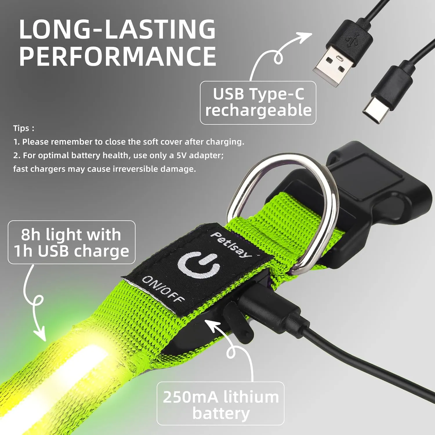 PetIsay Light up Dog Collar - High Visibility & Durable Nylon Material - USB C Rechargeable & Waterproof LED Dog Collar for Night Walking,Lighted Dog Collars Glow in The Dark Flashing(Green,Medium)