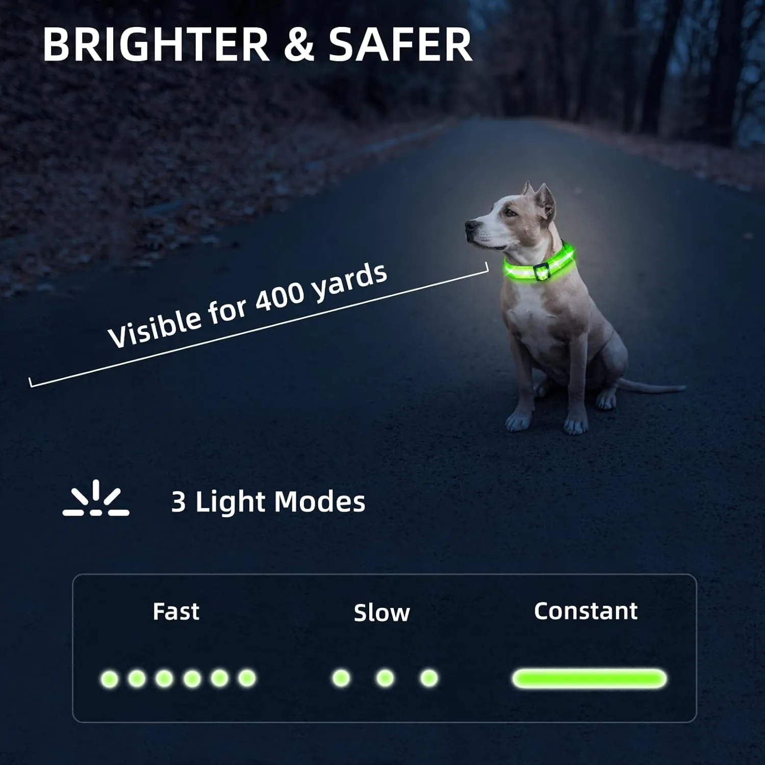 PetIsay Light up Dog Collar - High Visibility & Durable Nylon Material - USB C Rechargeable & Waterproof LED Dog Collar for Night Walking,Lighted Dog Collars Glow in The Dark Flashing(Green,Medium)