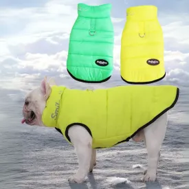 Premium Frenchie Winter Jacket - Comfortable Vest with D-Ring for Safe Traction