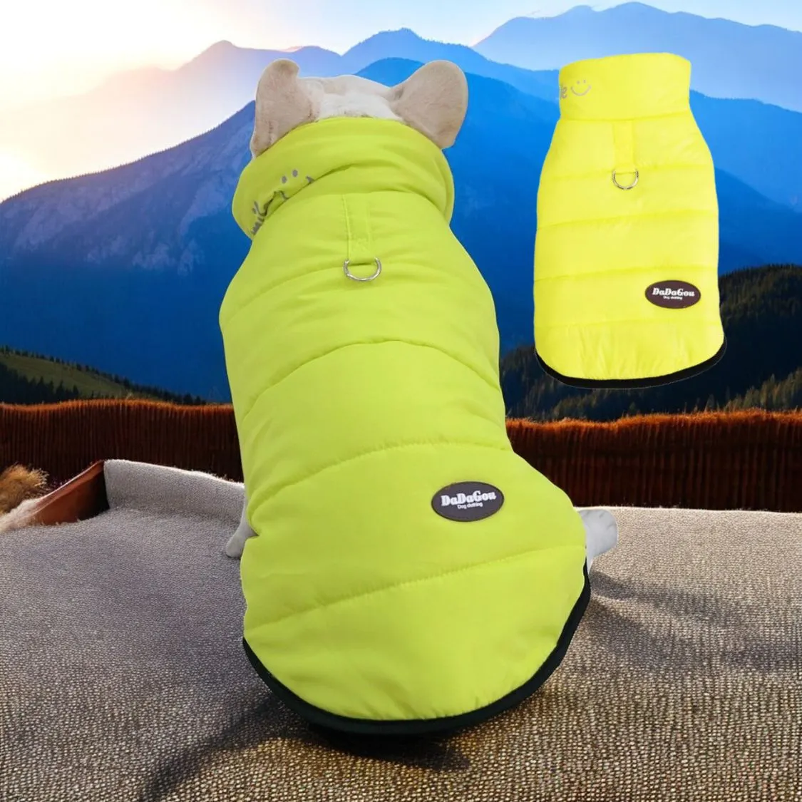Premium Frenchie Winter Jacket - Comfortable Vest with D-Ring for Safe Traction