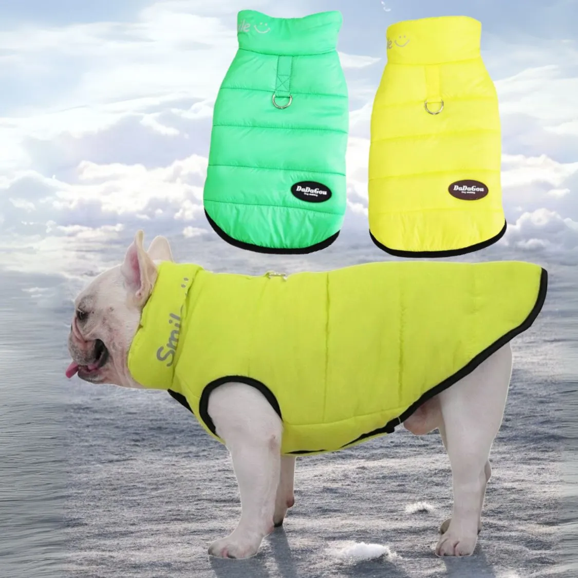 Premium Frenchie Winter Jacket - Comfortable Vest with D-Ring for Safe Traction