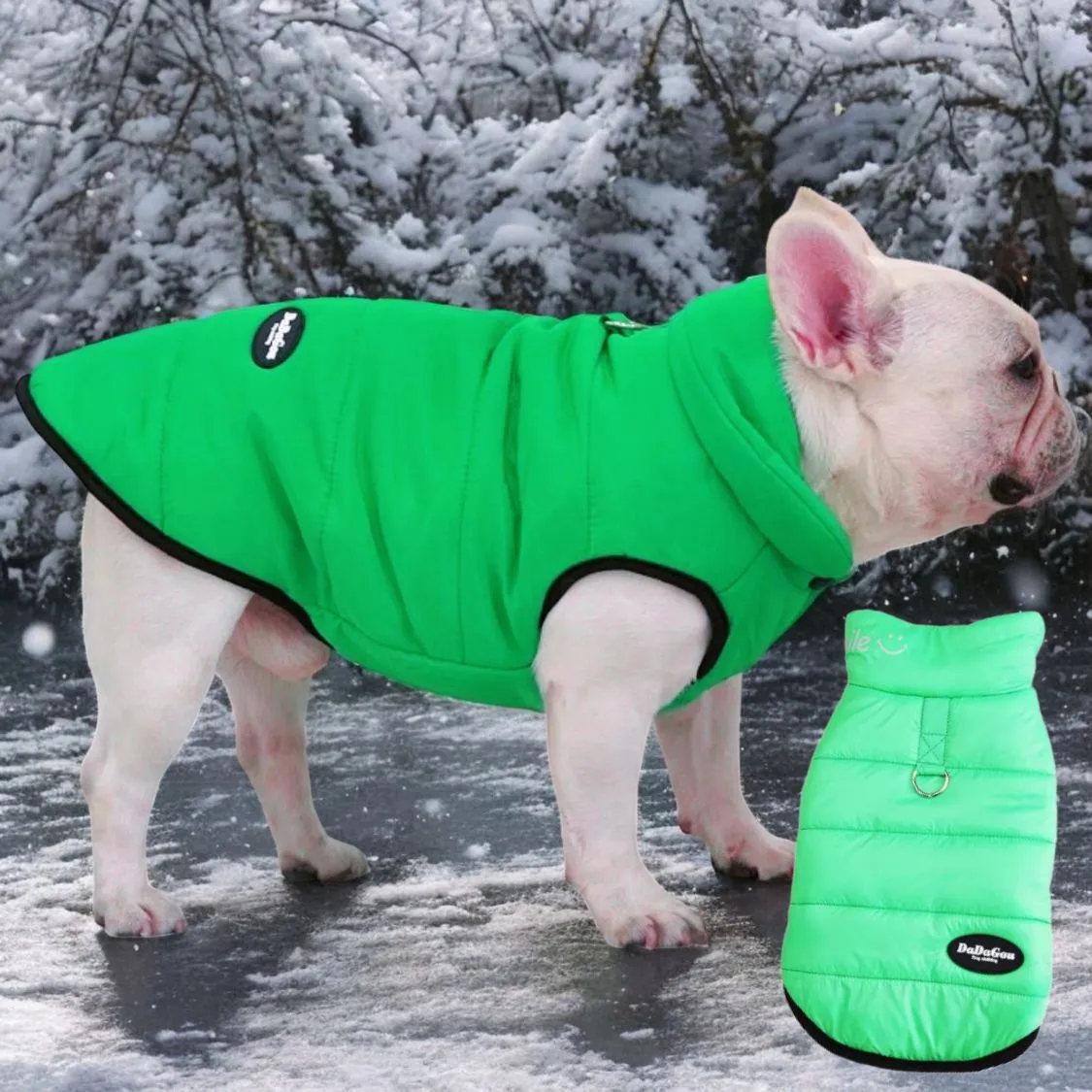 Premium Frenchie Winter Jacket - Comfortable Vest with D-Ring for Safe Traction