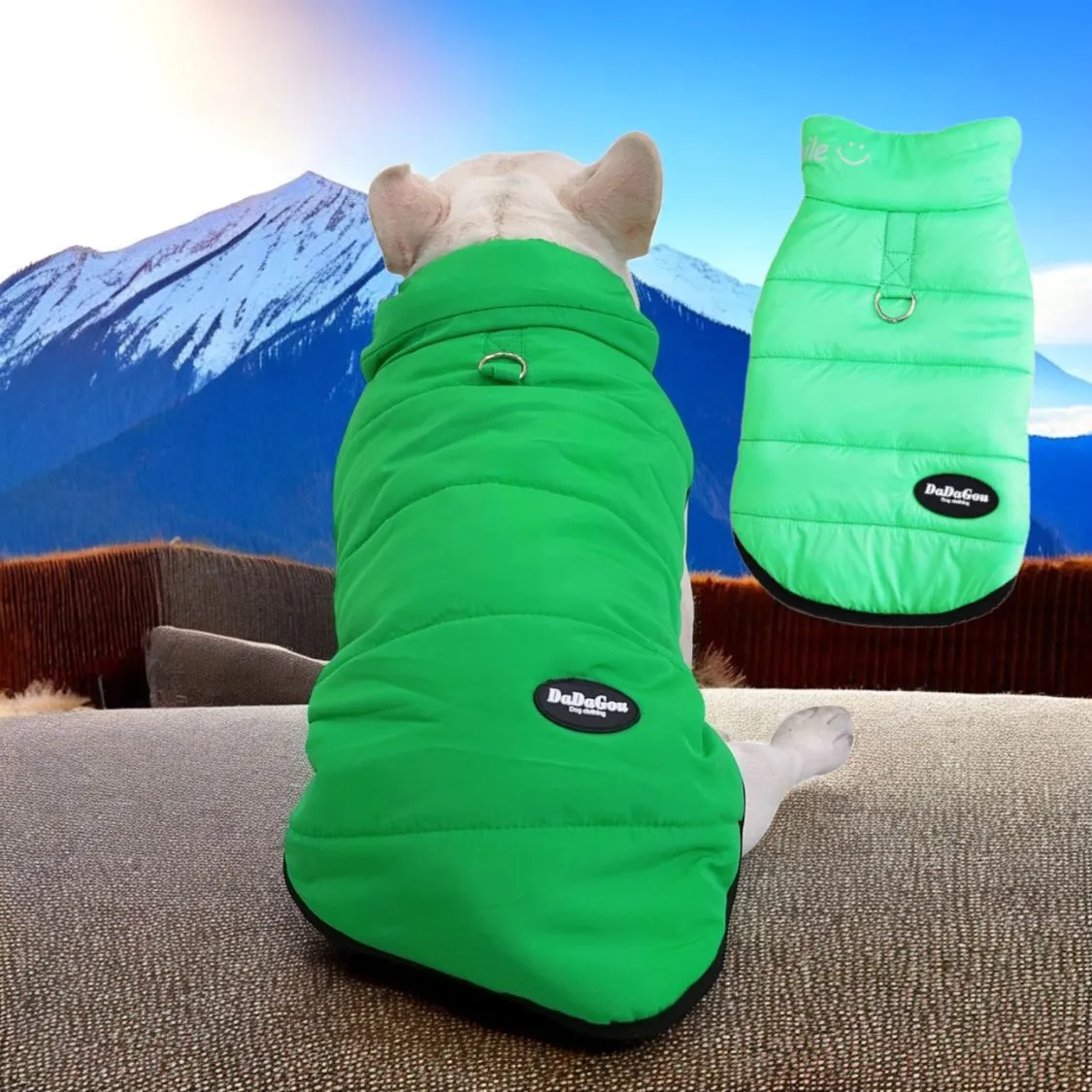 Premium Frenchie Winter Jacket - Comfortable Vest with D-Ring for Safe Traction