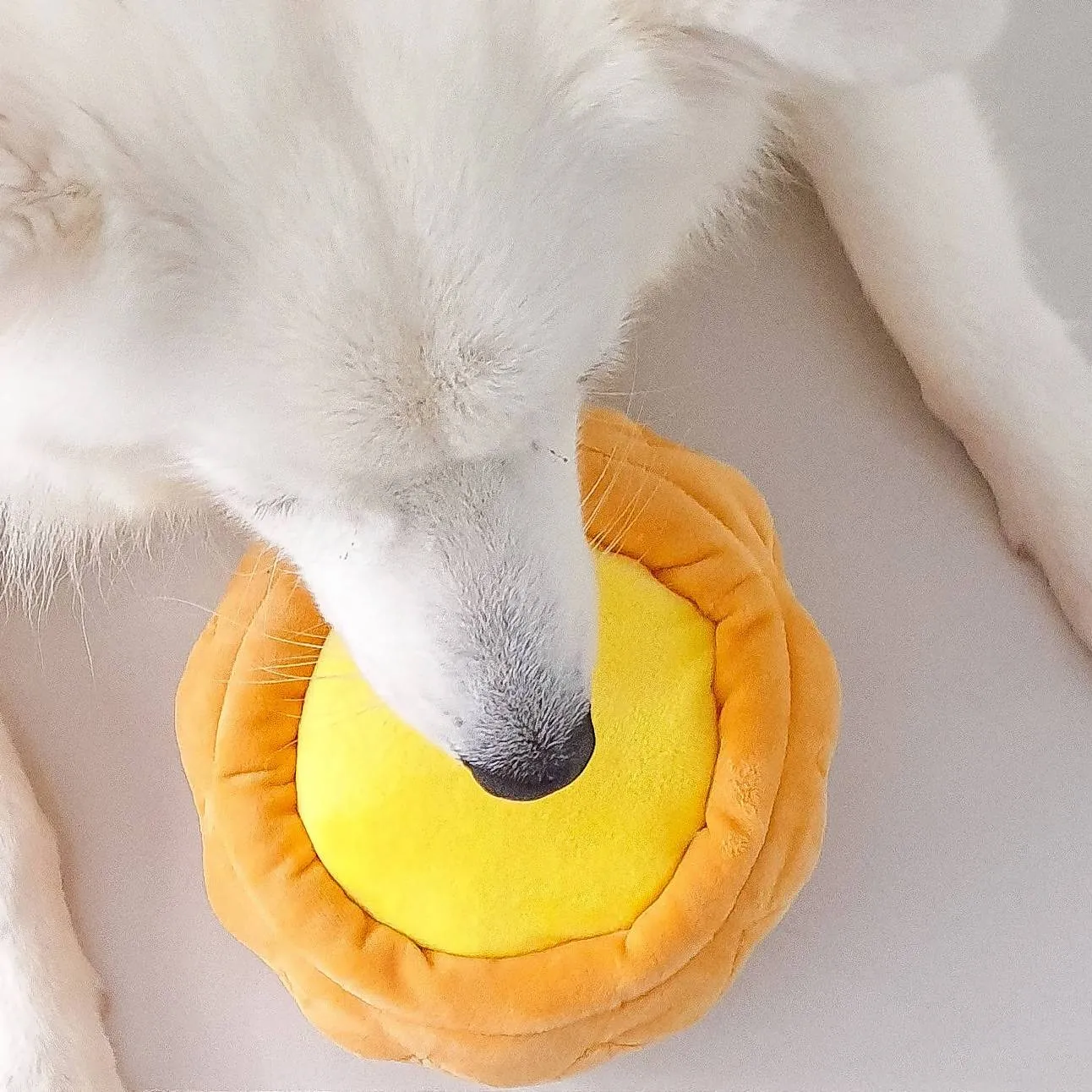 (Premium) Macau Egg Tart Squeaker Chew Toy for Pet Dogs