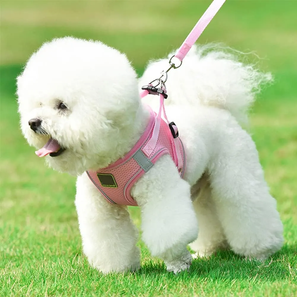 Puppy Harness and Leash Set, Escape Proof Dog Cat Vest Harness for Cats Small Medium Dogs, Adjustable Reflective Step in Harness,Soft Mesh Comfort Fit No Pull No Choke (Medium(13.7"-15.7"), Pink)