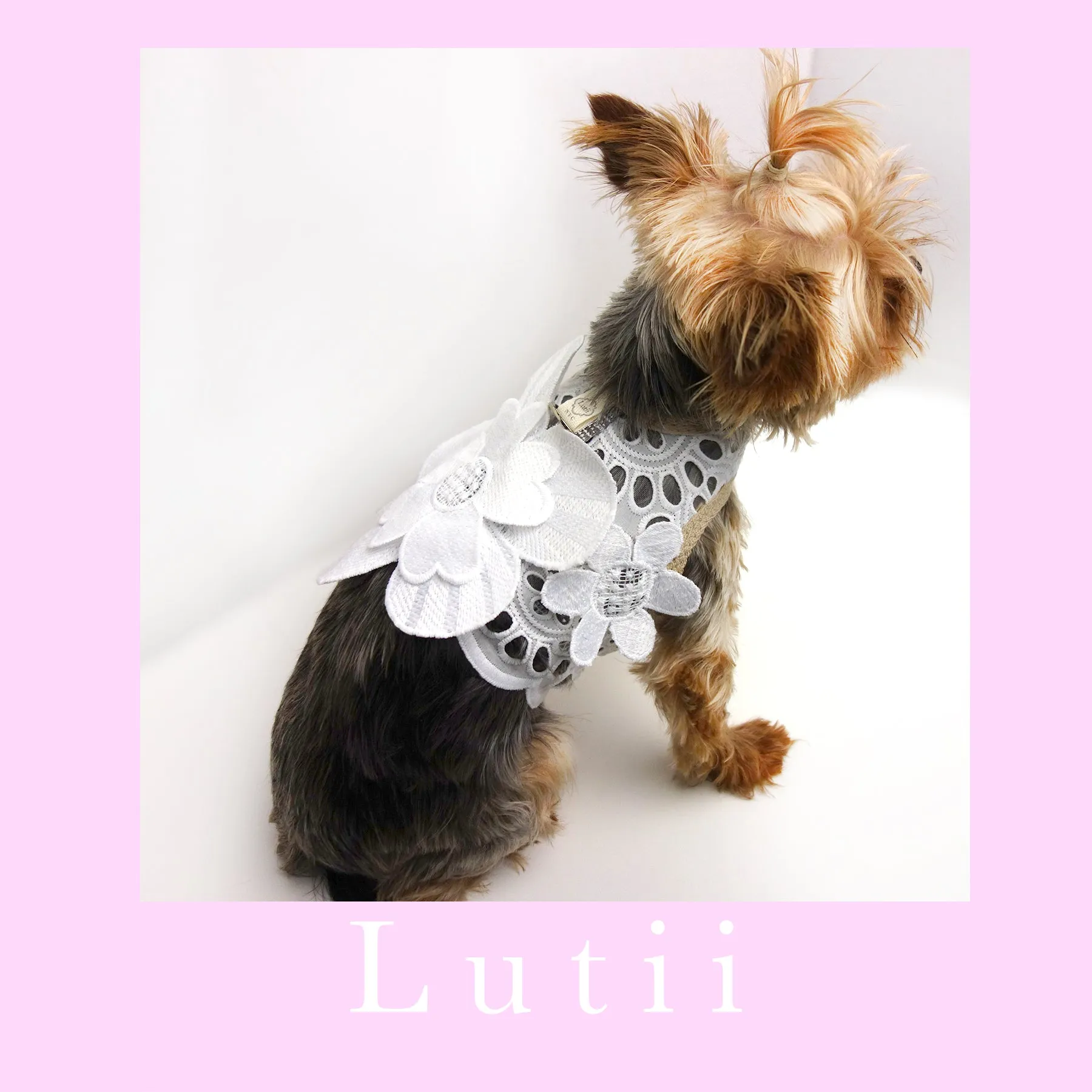 "Cali Flowers"-handmade adjustable lace dog harness