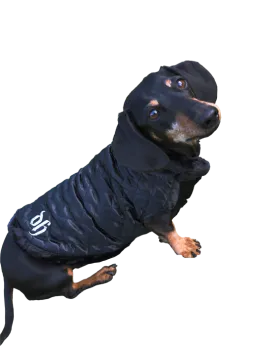 REGAL NOIR JACKET