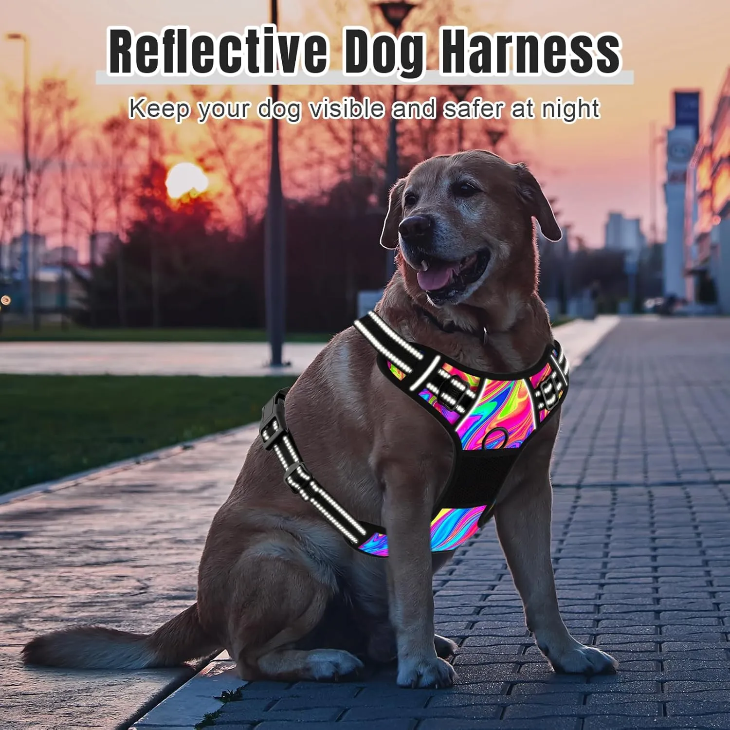 Rnivvi No Pull Dog Harness, Cute Reflective Large Sized Puppy Harness, Adjustable Soft Padded Vest for Large Dogs, Heavy Duty Pet Vest with Easy Control Handle for Walking Training, Rainbow Art