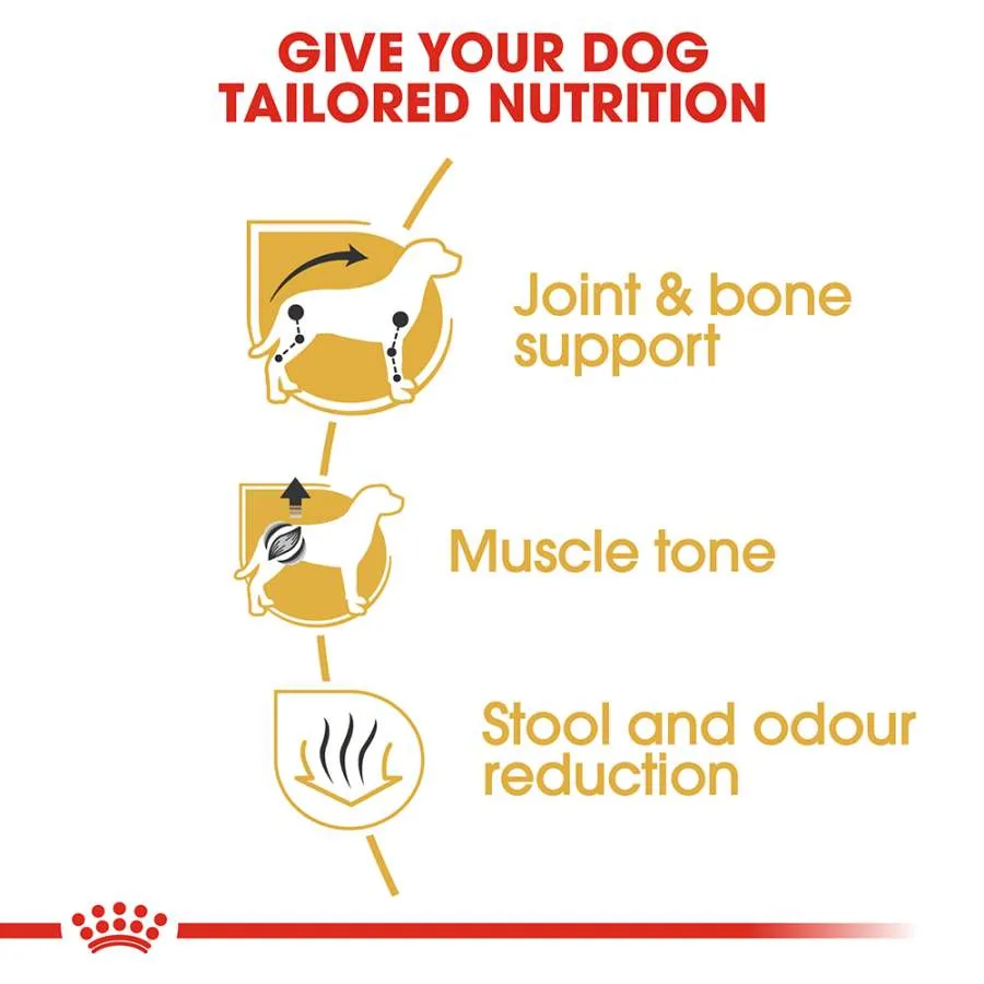 Royal Canin Dachshund