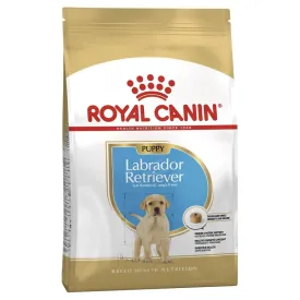 Royal Canin Labrador Puppy