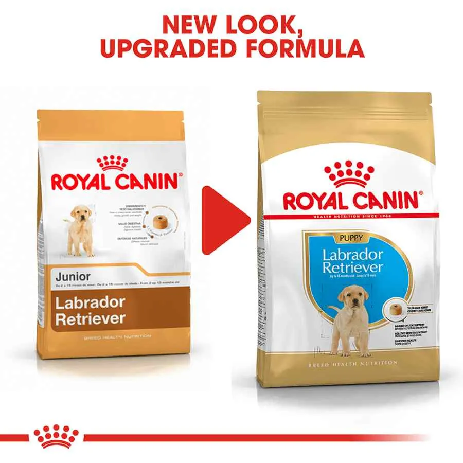 Royal Canin Labrador Puppy