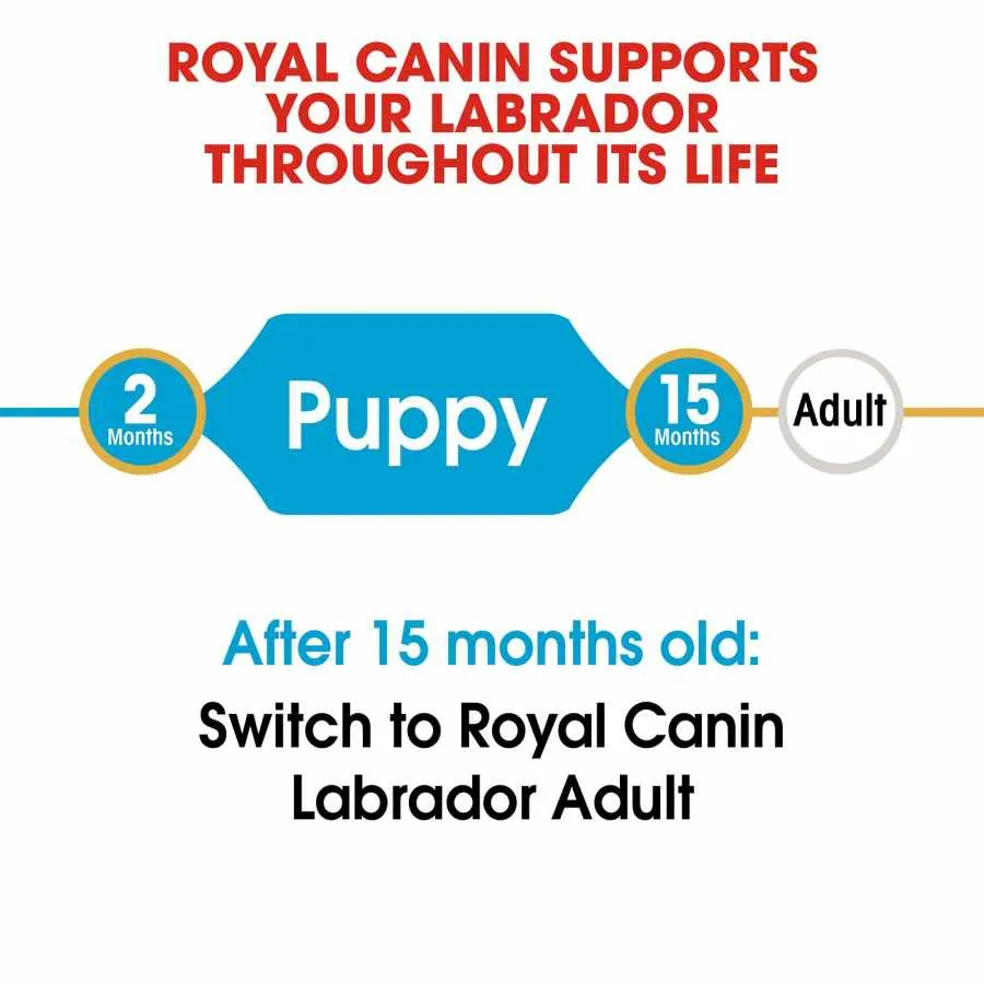 Royal Canin Labrador Puppy