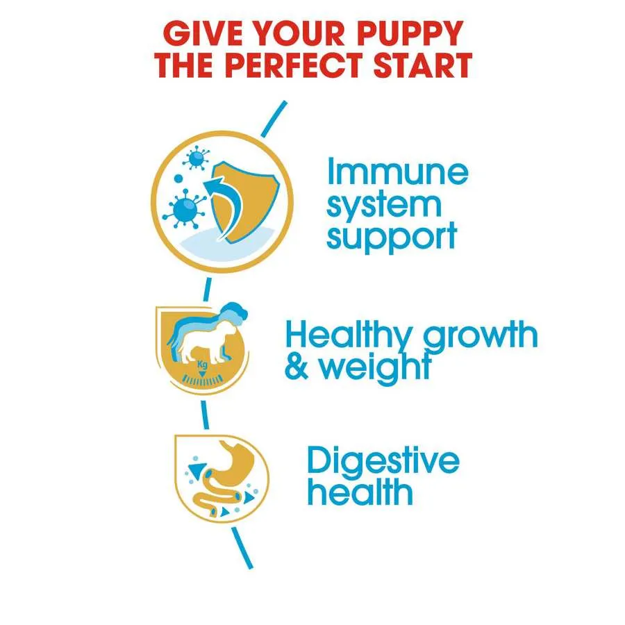 Royal Canin Labrador Puppy