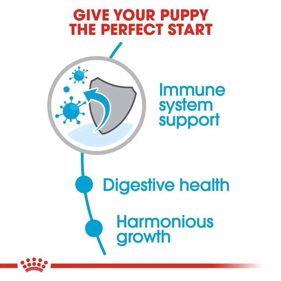 Royal Canin Mini Puppy