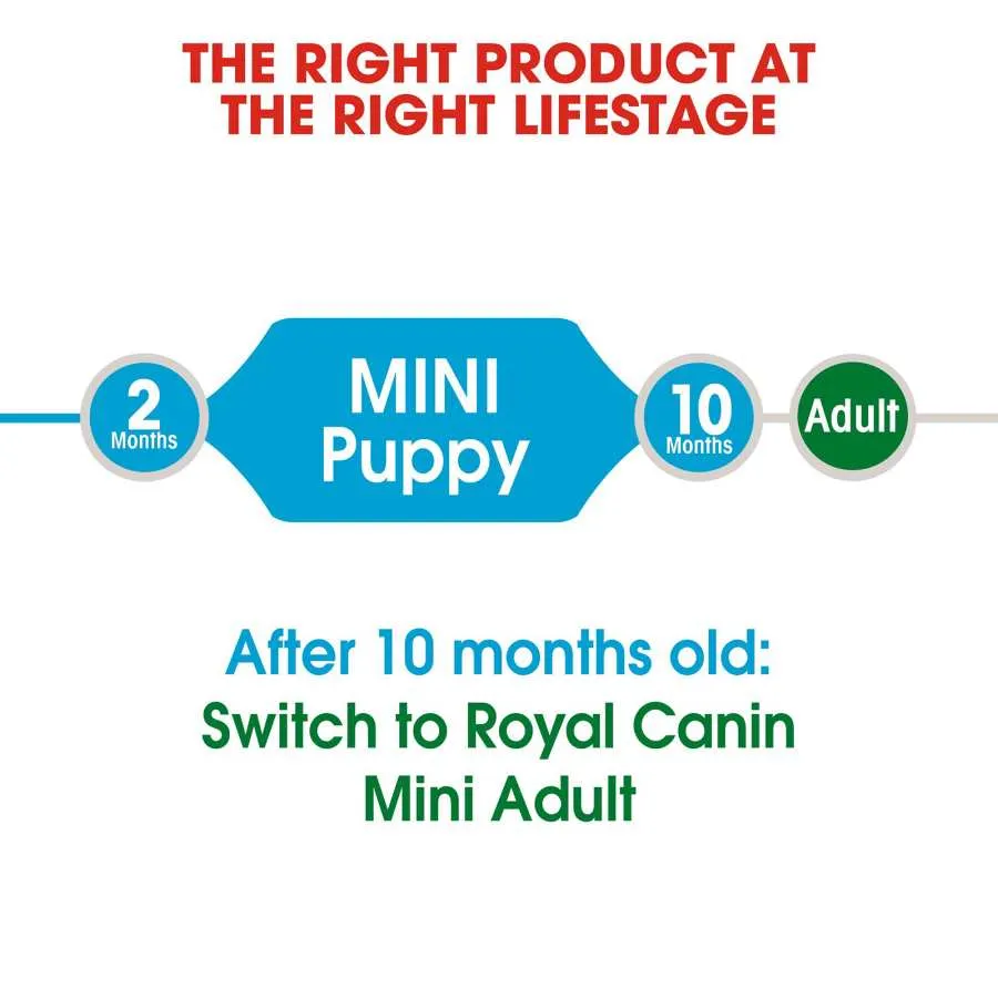Royal Canin Mini Puppy