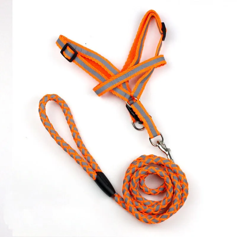 Safety Strong Reflective Dog Leash Collar