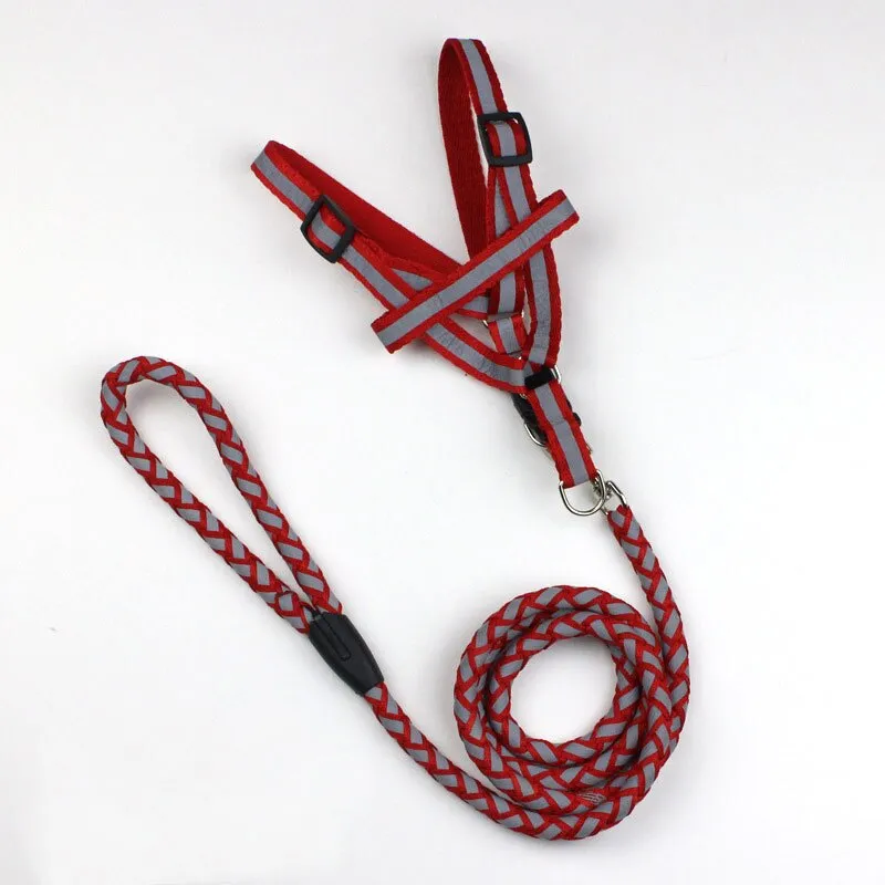 Safety Strong Reflective Dog Leash Collar