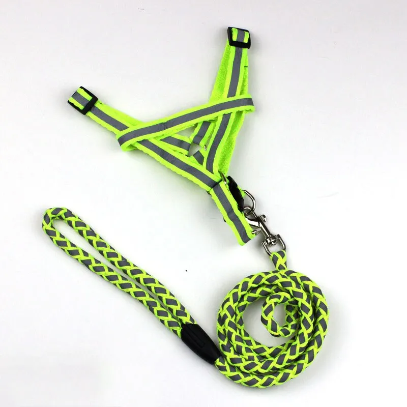 Safety Strong Reflective Dog Leash Collar