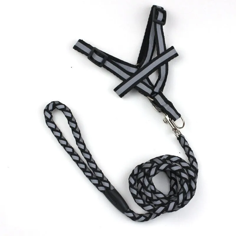 Safety Strong Reflective Dog Leash Collar