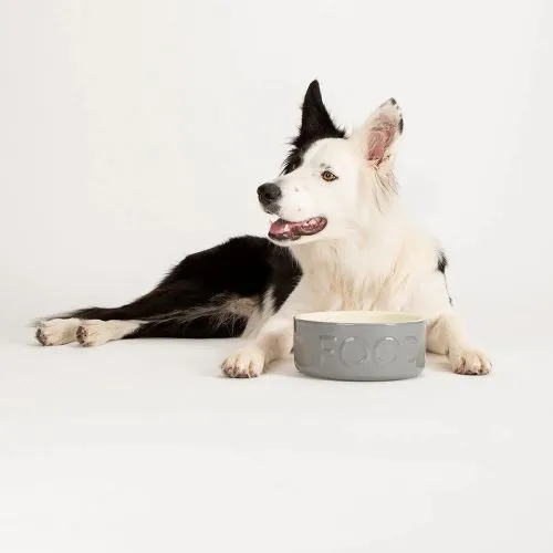 Scruffs Classic Dog Food Bowl - 19cm Grey