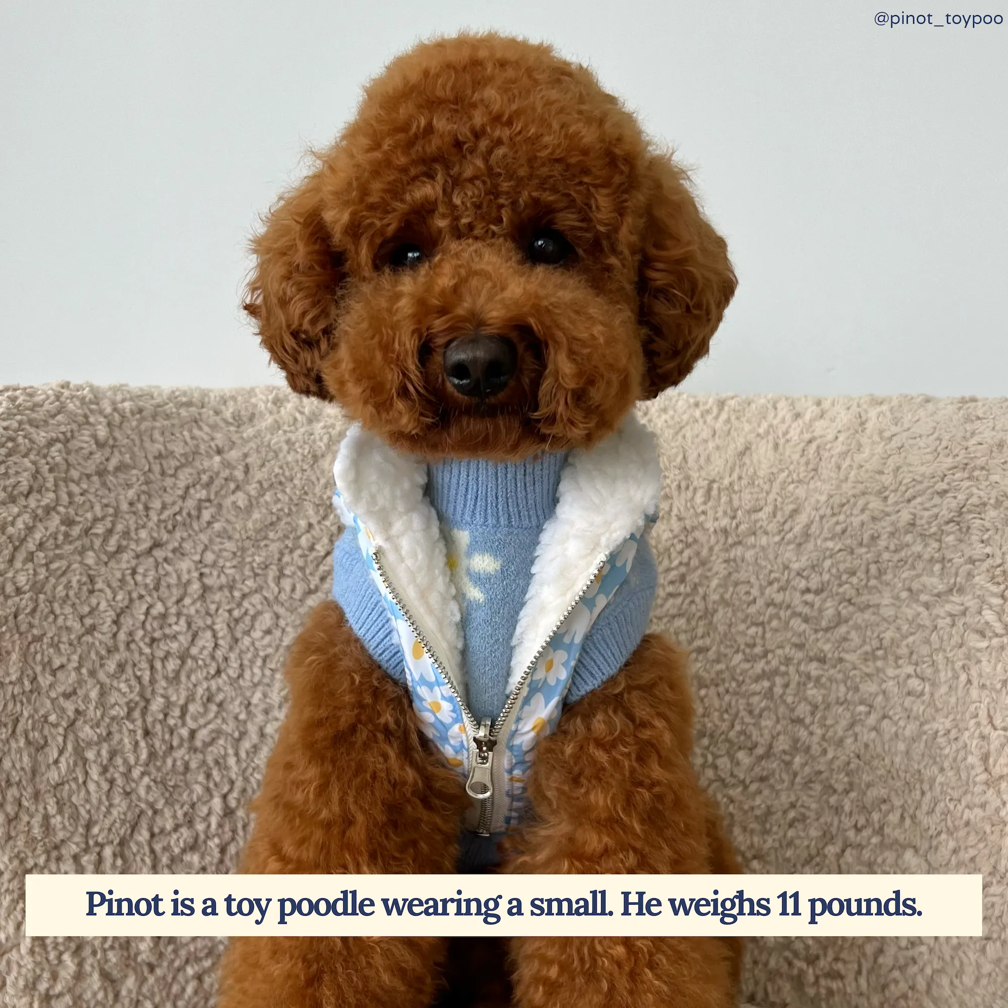 Simply Splendid Reversible Teddy Vest
