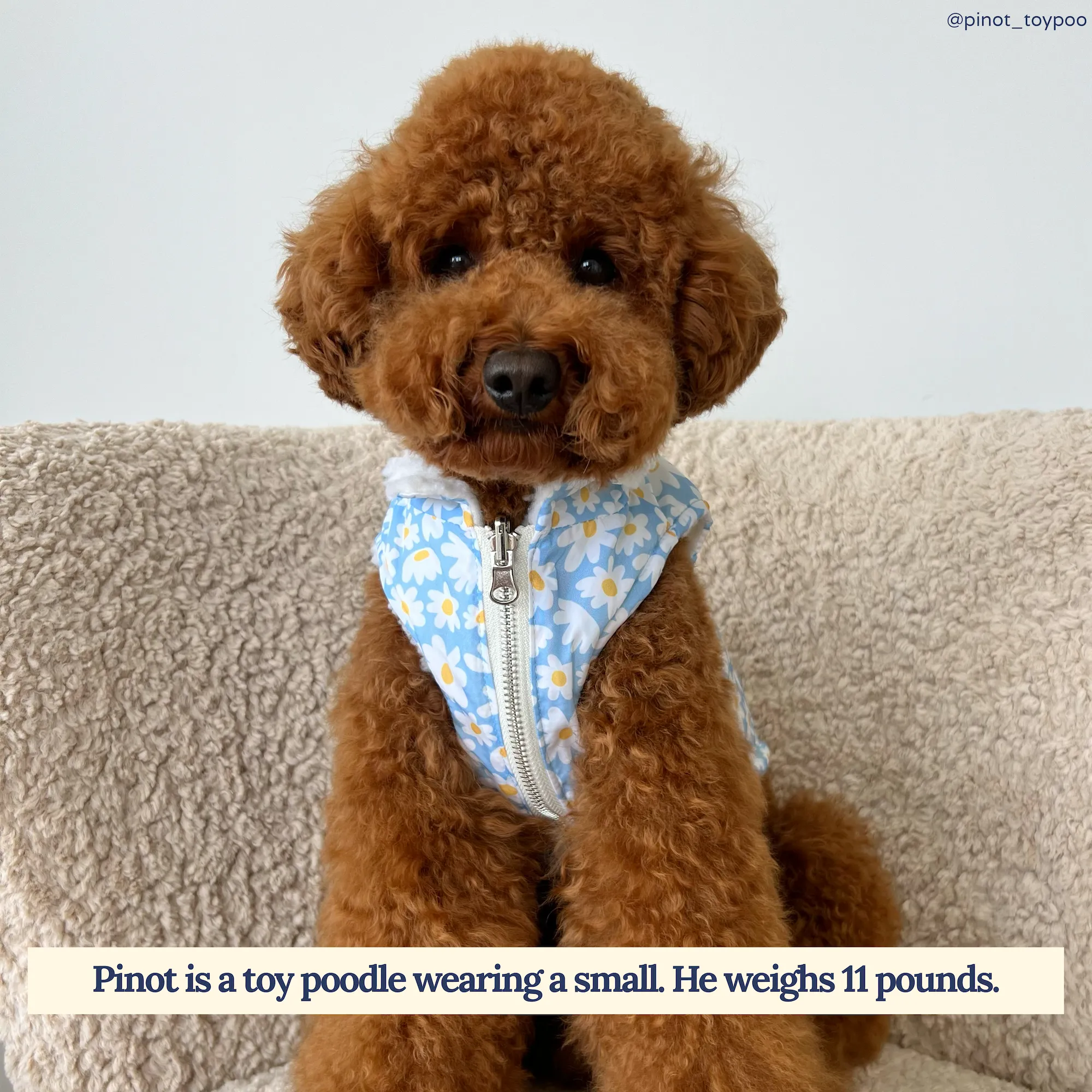 Simply Splendid Reversible Teddy Vest