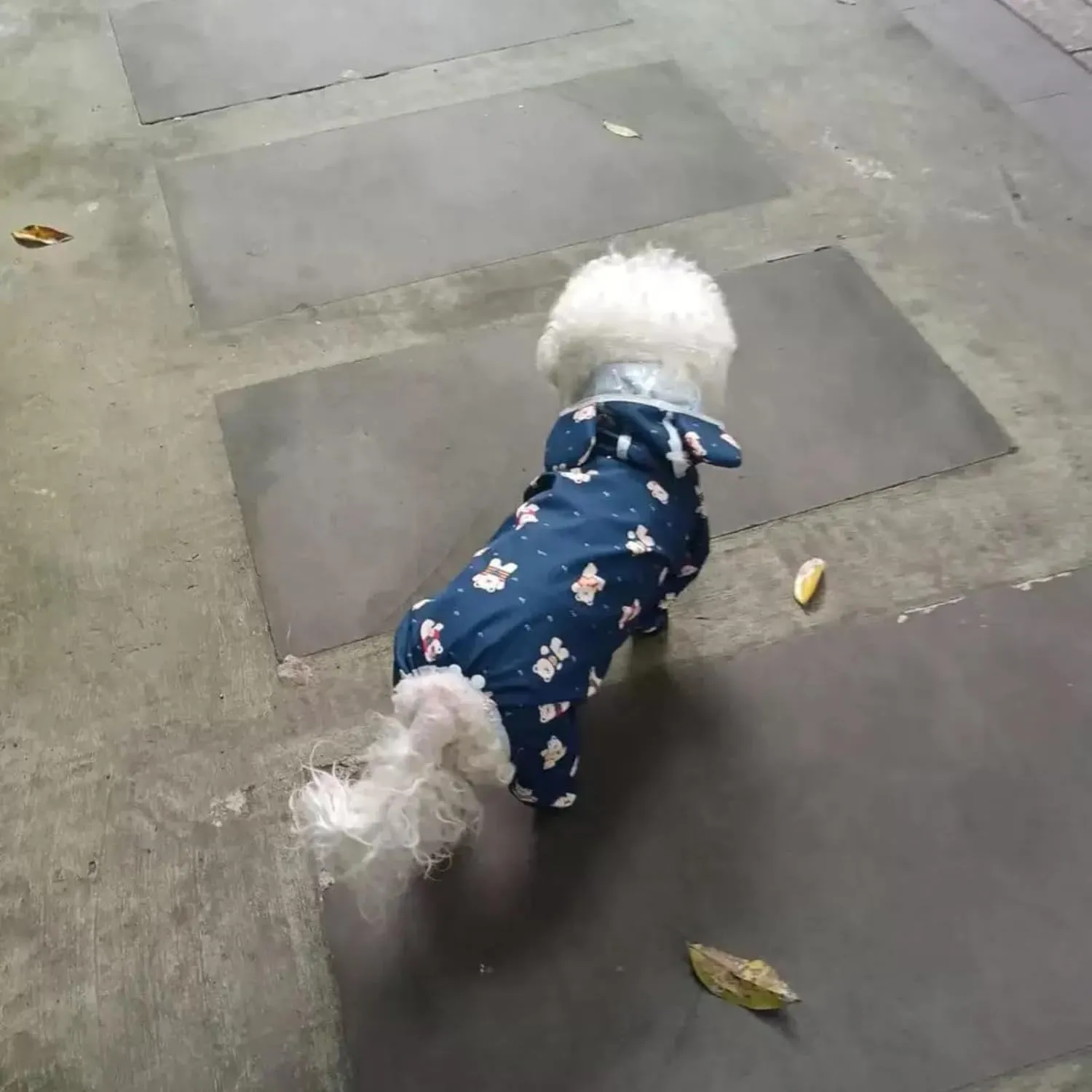 Small Dog Raincoat, Tail Protect Feet Cover Waterproof Dog Rain Jacket Dog Rain Coat for Puppy Small Dogs (Navy Bear,L)