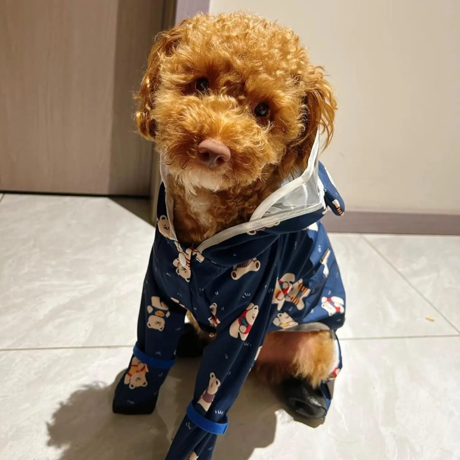 Small Dog Raincoat, Tail Protect Feet Cover Waterproof Dog Rain Jacket Dog Rain Coat for Puppy Small Dogs (Navy Bear,L)