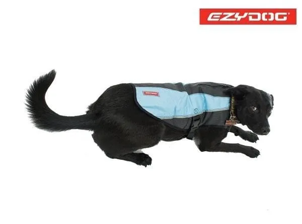 Snug & Warm Pet Jacket