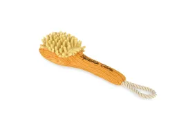 Splish Splash Bark n' Bristles