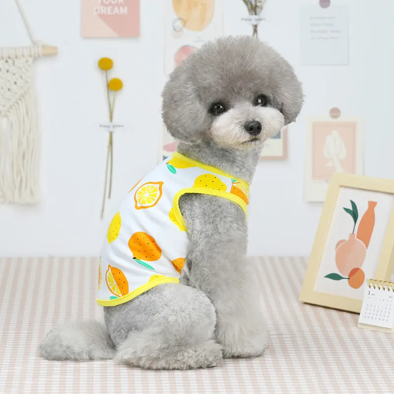Summer cute fruit vest pet clothing for dogs and cats