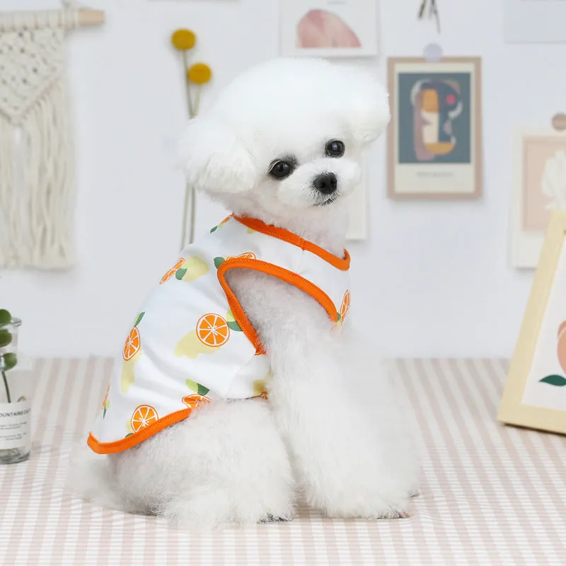 Summer cute fruit vest pet clothing for dogs and cats