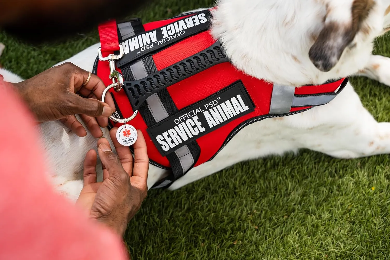 Support Pets Dog Harness: The Only Official ESA Vest for Easy Pet Recognition, Walk and Train All Dog Sizes, The Official PSD Highly Visible Harness, Adjustable, Soft and Padded (XXS)