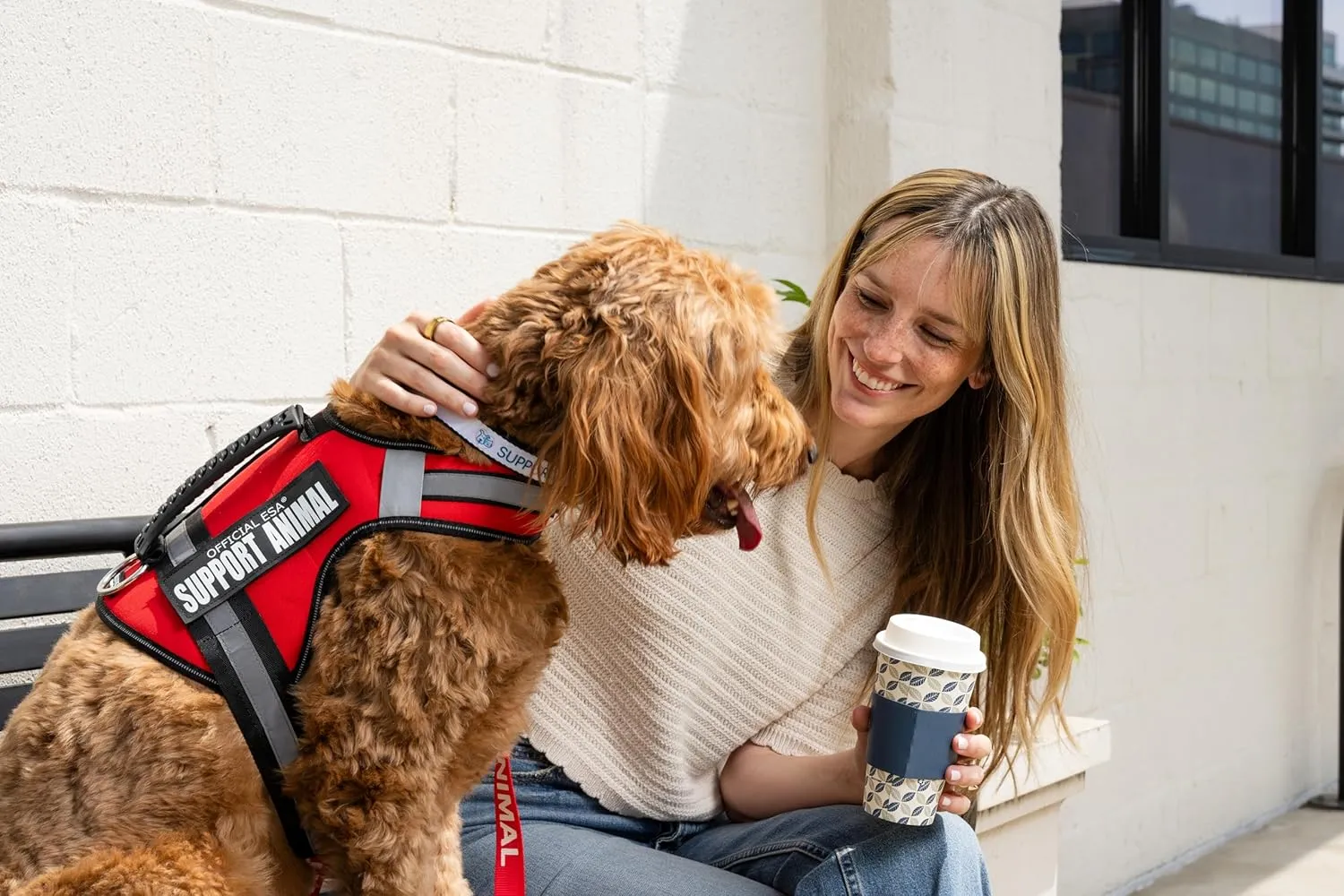 Support Pets Dog Harness: The Only Official ESA Vest for Easy Pet Recognition, Walk and Train All Dog Sizes, The Official PSD Highly Visible Harness, Adjustable, Soft and Padded (XXS)