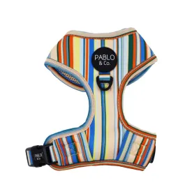 The Cabana Adjustable Dog Harness