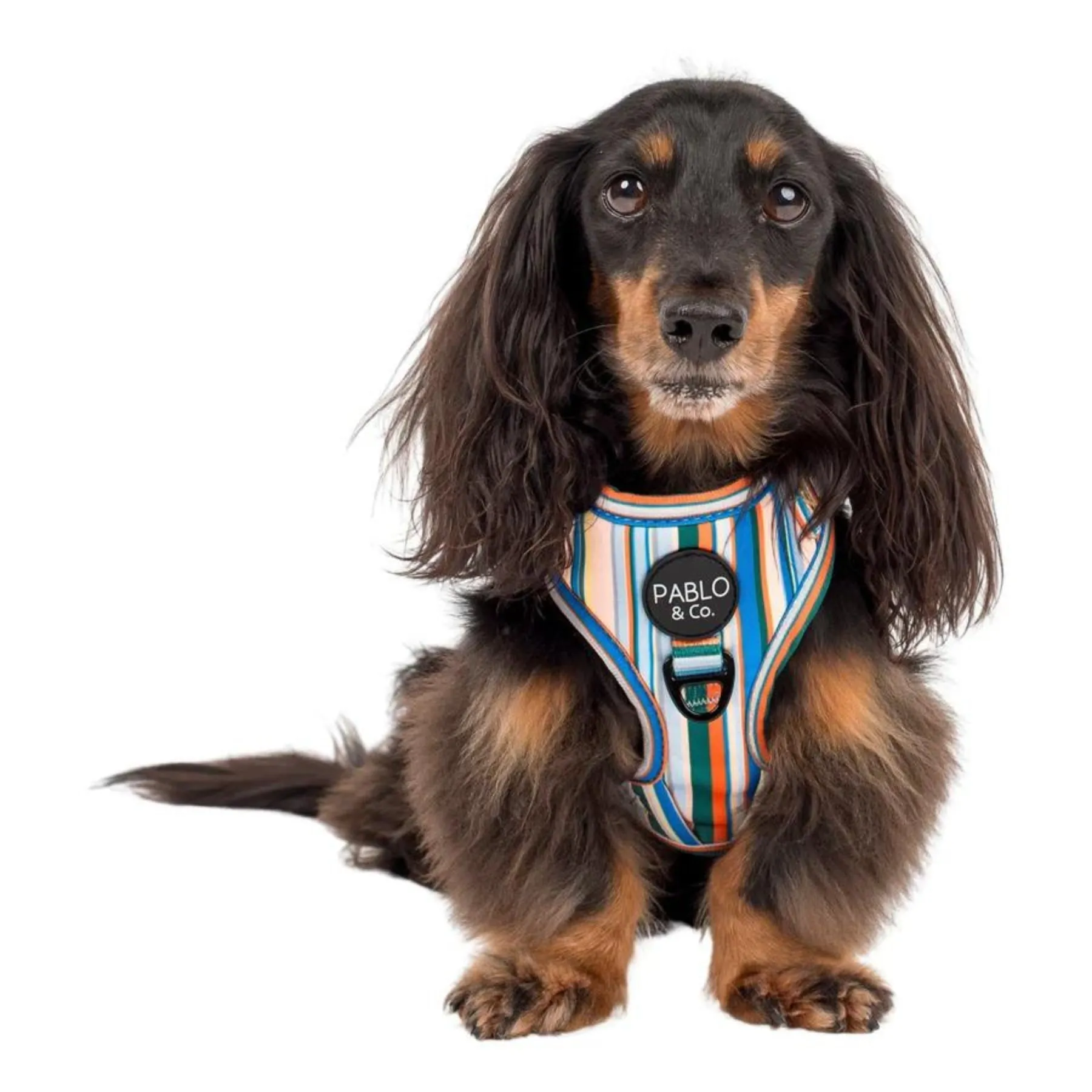 The Cabana Adjustable Dog Harness