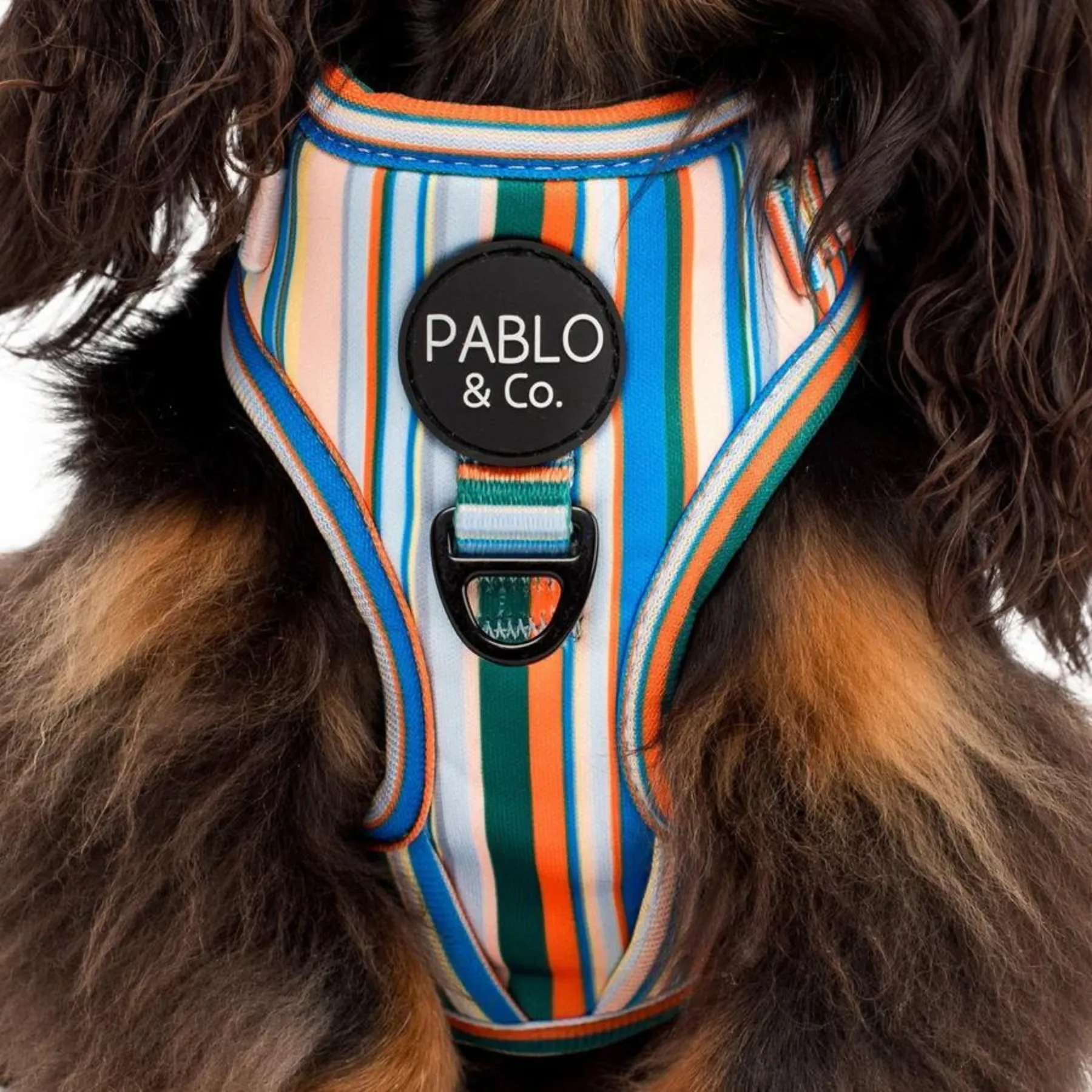 The Cabana Adjustable Dog Harness