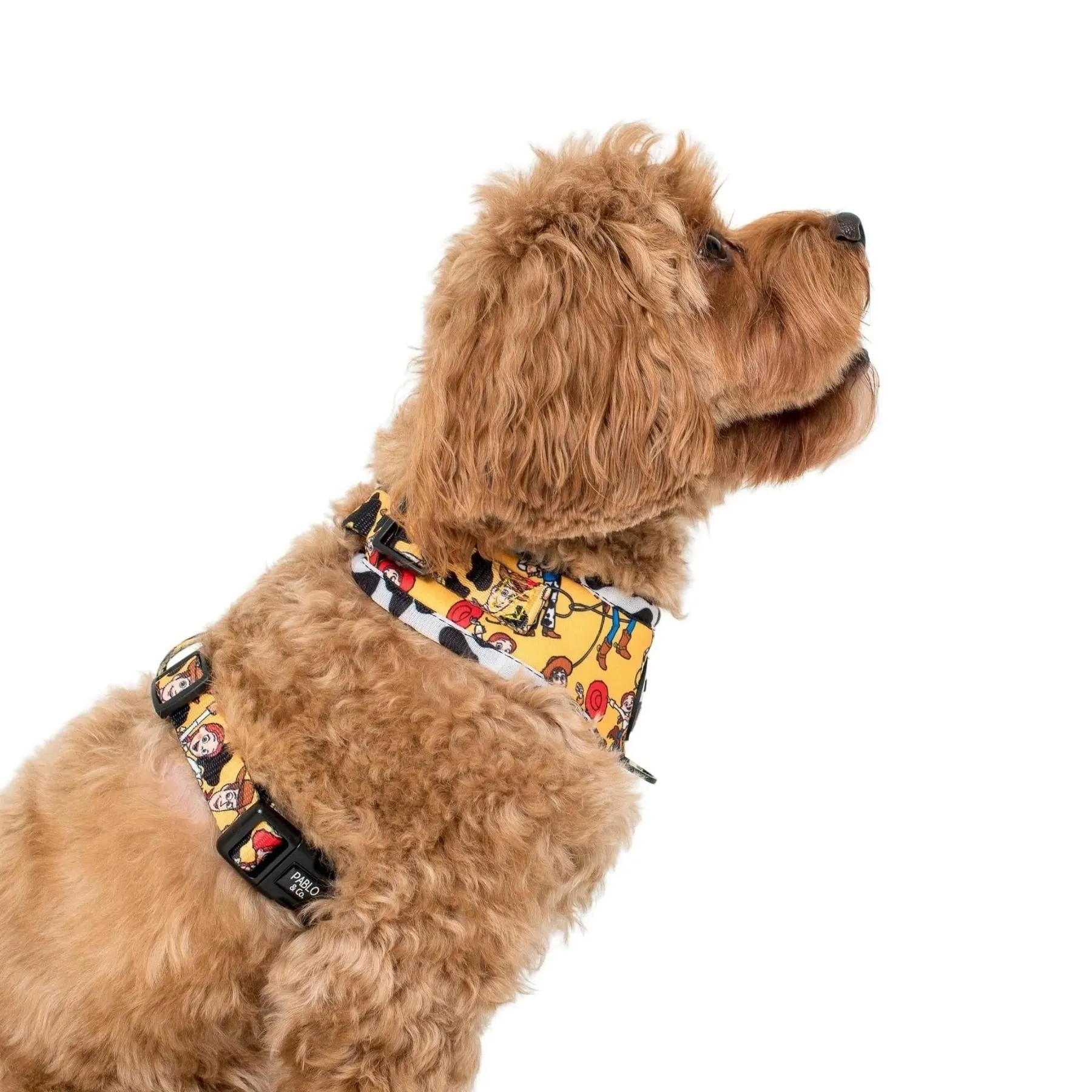 Toy Story - Woody's Roundup Adjustable Harness