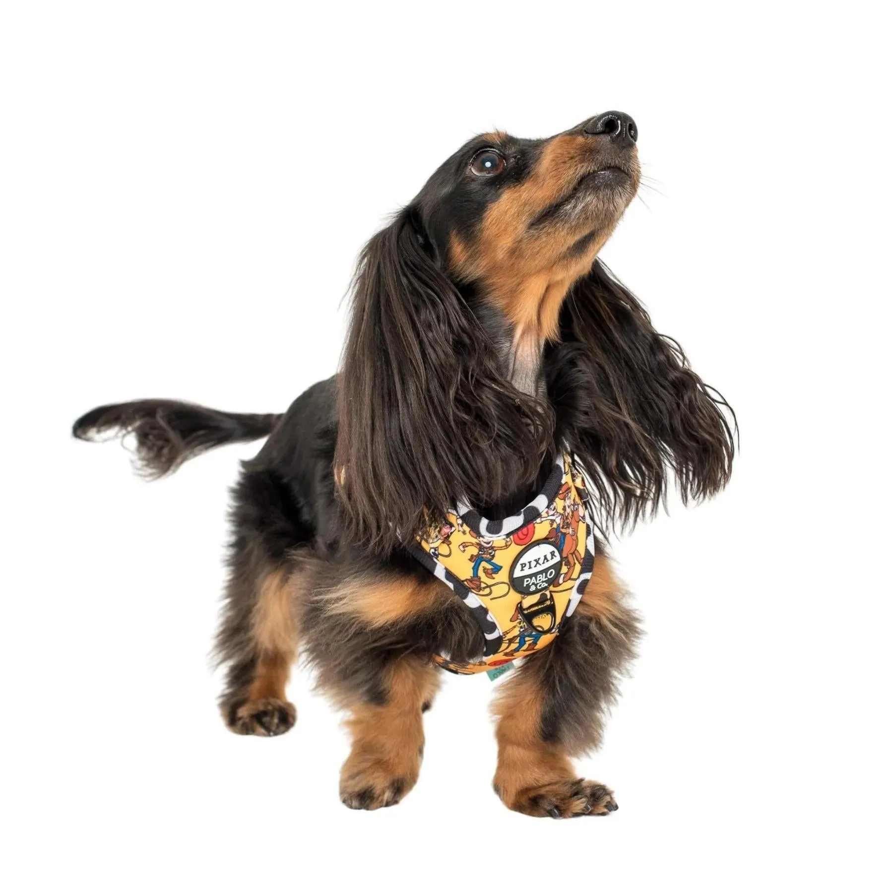 Toy Story - Woody's Roundup Adjustable Harness