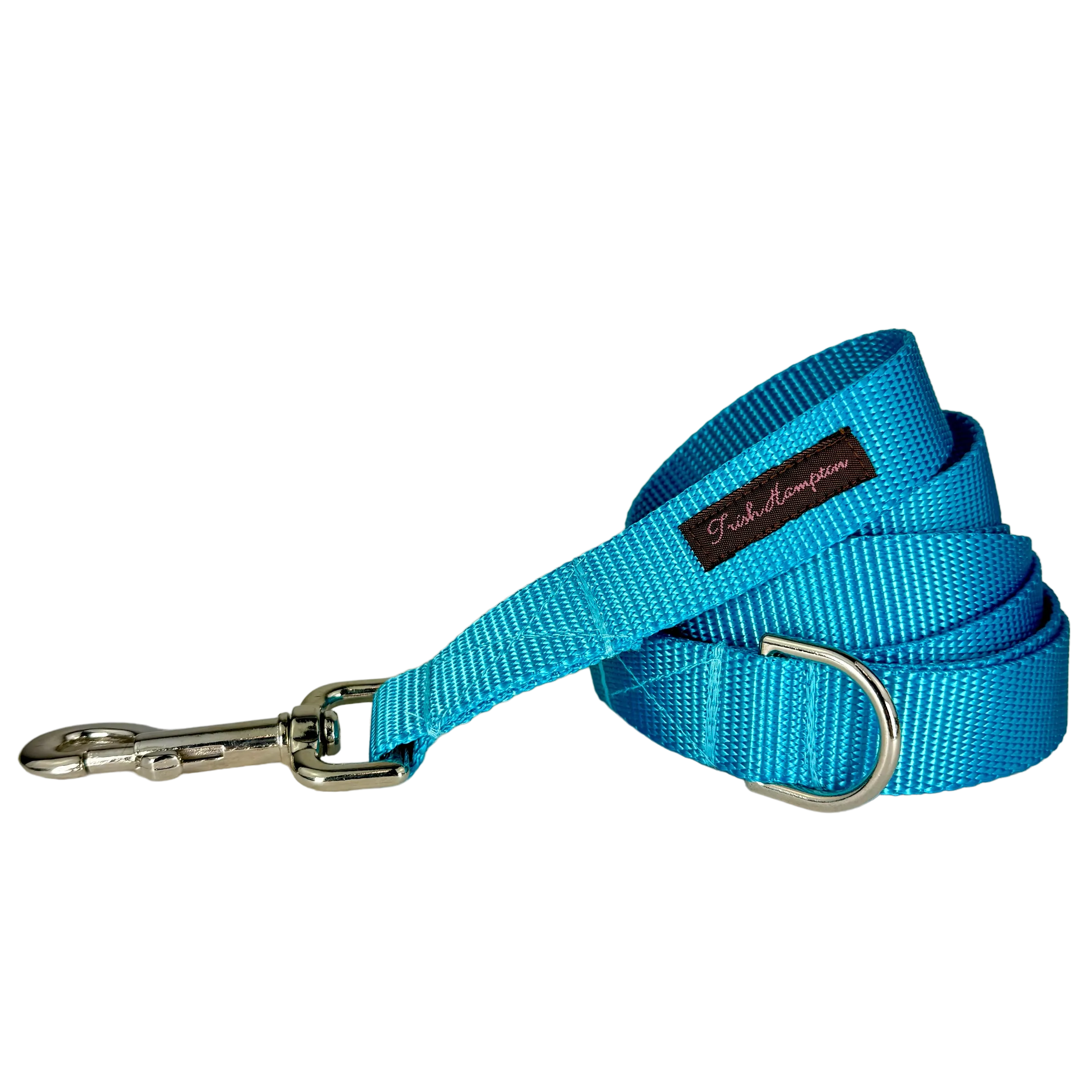 Turquoise/Aqua Nylon Webbing 6ft Dog Leash - 802
