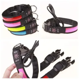 USB Rechargeable LED Dog Collar - Adjustable, Flashing Light Safety Collar for All Dog Sizes
